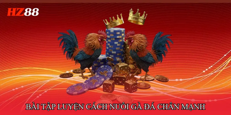 Các Bài Tập Luyện Trong Cách Nuôi Gà Đá Chân Mạnh 