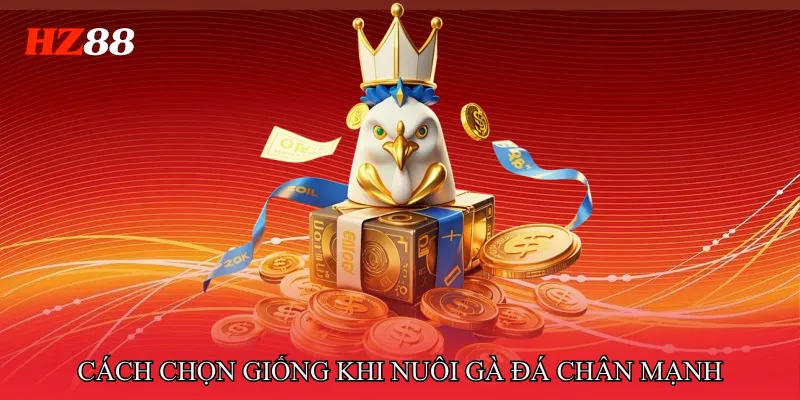 Cách Chọn Giống Khi Nuôi Gà Đá Chân Mạnh