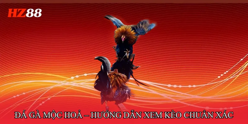 Đá gà mộc hoả – Hướng dẫn xem kèo chuẩn xác