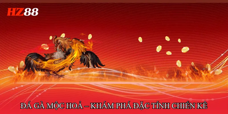 Đá gà mộc hoả – Khám phá đặc tính chiến kê
